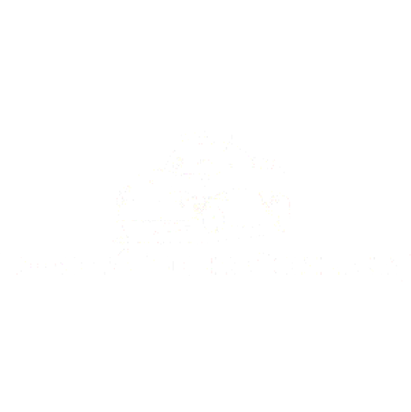 Fire Art - Chimeneas como obras de arte funcionales en Bogotá