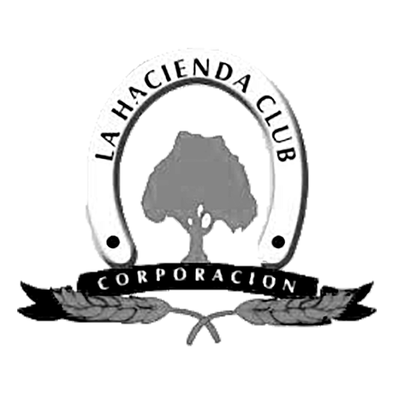 Fire Art - Chimeneas como obras de arte funcionales en Bogotá